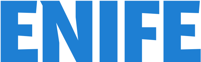 株式会社ENIFE